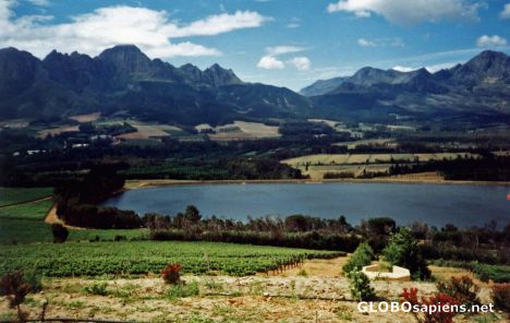 Postcard Stellenbosch