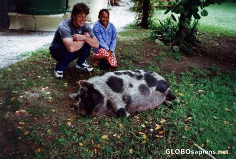 Postcard Happy as a pig in muck!!!!!!!