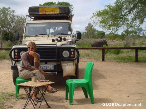Postcard Picnic in Kruger Park