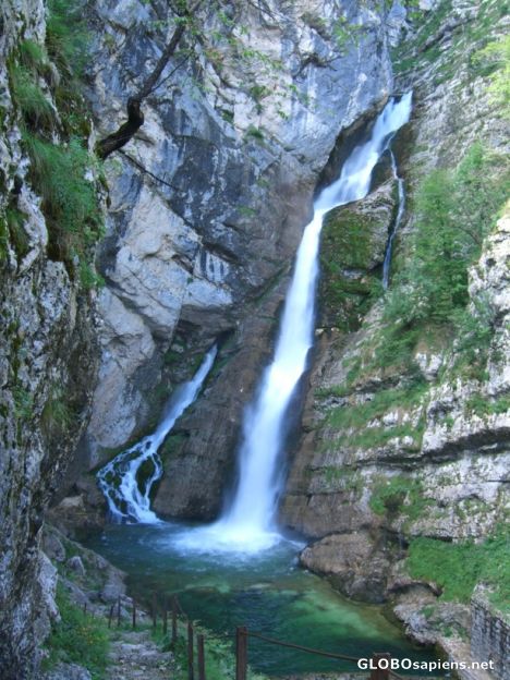 Postcard Slap Savica