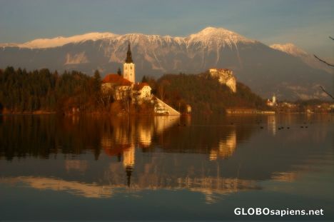 Postcard Bled lake