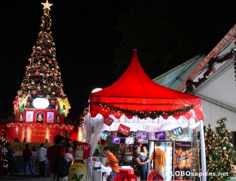 Postcard Xmas Carnival