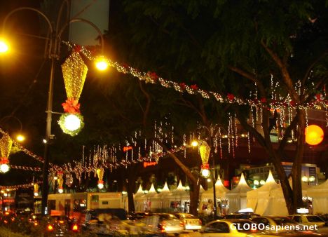 Postcard Decorated Streets