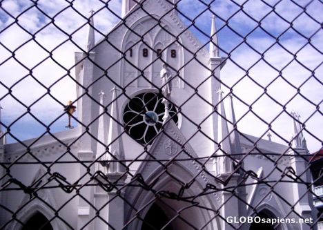 Postcard behind the fence
