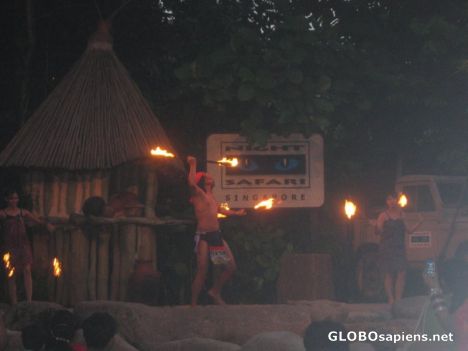 Postcard Fiery performance at Night Safari