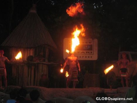 Postcard Fiery performance at Night Safari