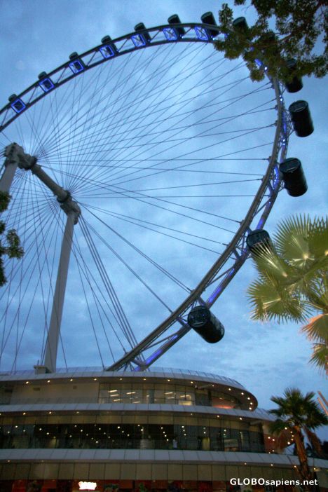 Postcard The Singapore Flyer