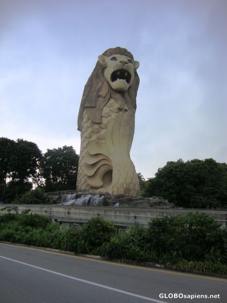 Postcard Biggest Merlion in Sg at Sentosa Island