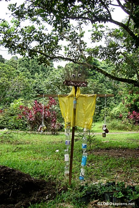 Postcard Scarecrow, Pulau Ubin