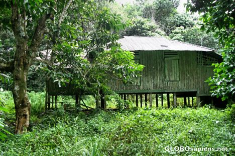 Postcard Old Malay House, Pulau Ubin
