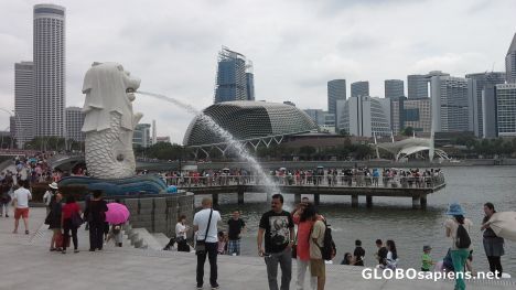 Postcard Merlion