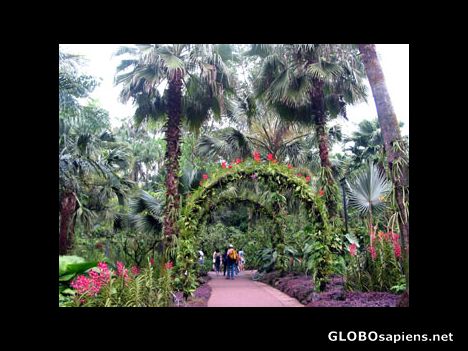 Postcard Botanic Garden