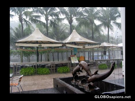 Postcard The regular afternoon downpour .