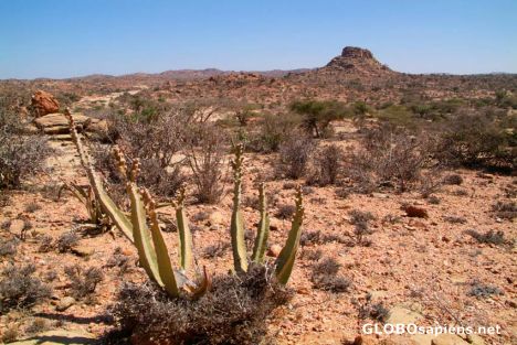 Postcard Las Geel Landscape