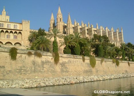 Postcard Palma's Cathedral