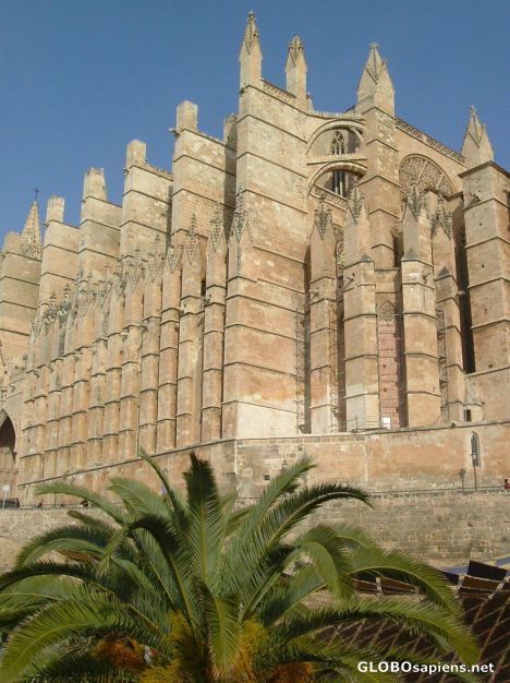 Postcard La Seu up close