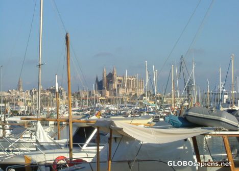 Postcard Palma's Harbour