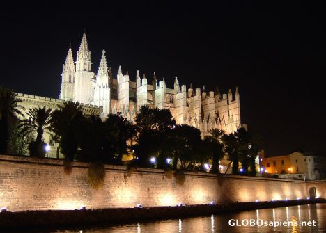Postcard La Seu at night