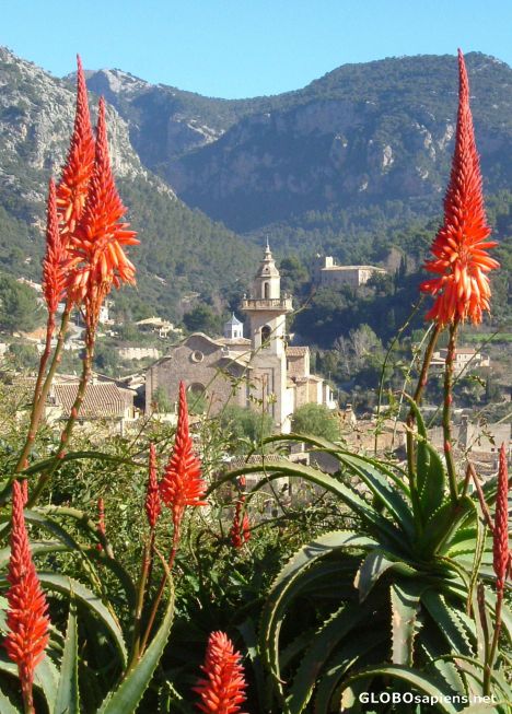 Postcard Valldemossa in January