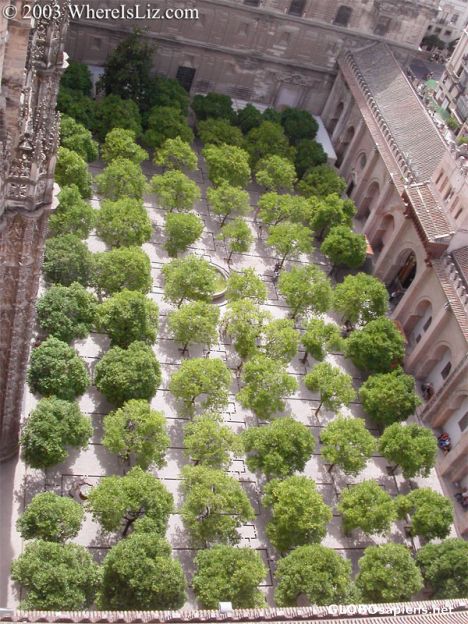 Postcard Cathedral Orange Grove, Seville, Spain