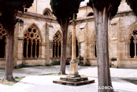 Postcard Cathedral cloisters