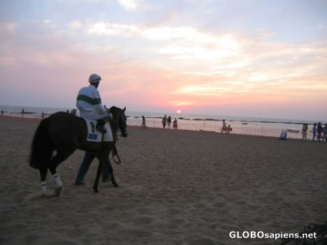 Postcard carreras de caballos