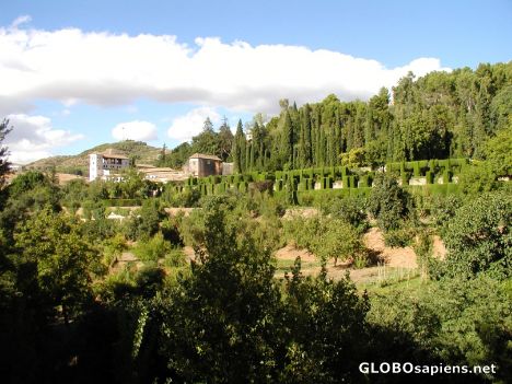 Postcard Summer Palace in Generalife Garden