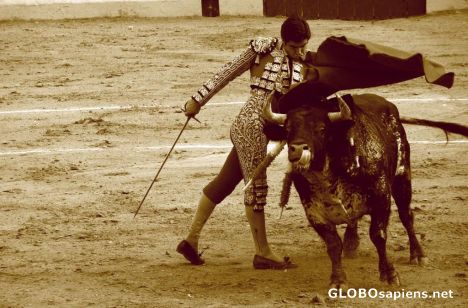 Postcard Corrida