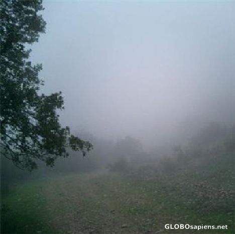 Postcard Mist in the Camino de Santiago