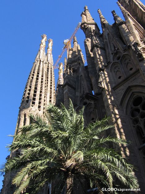 Postcard SAGRADA FAMILIA