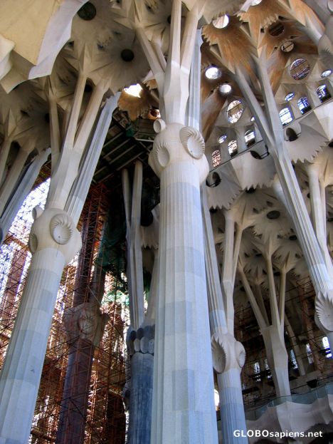 Postcard SAGRADA FAMILIA