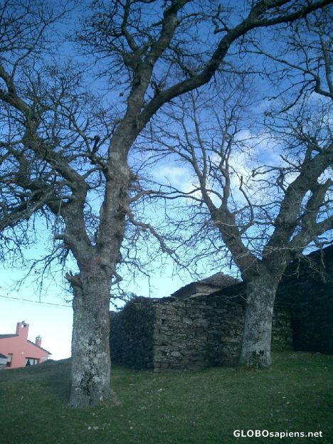 Postcard Grandas outskirts