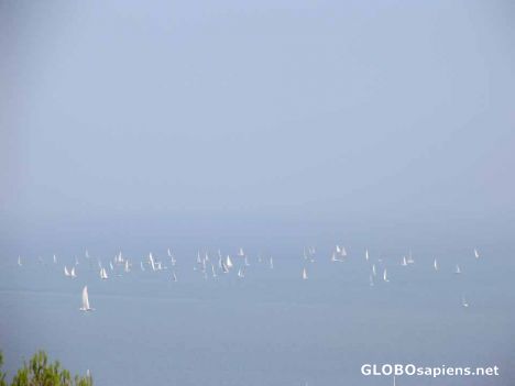 Postcard Sailing boats in the Mediterranean Sea
