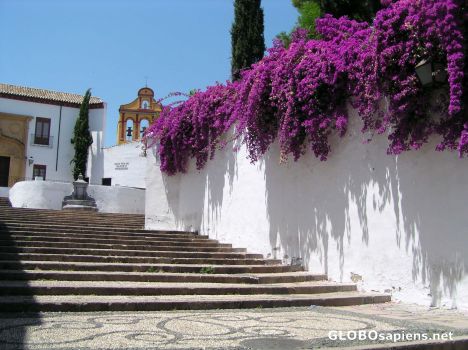 Postcard Steps leading towards Convent