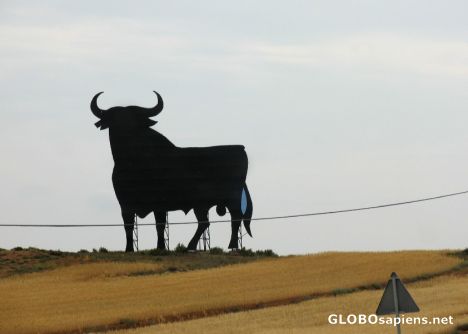 Postcard Que viva España!