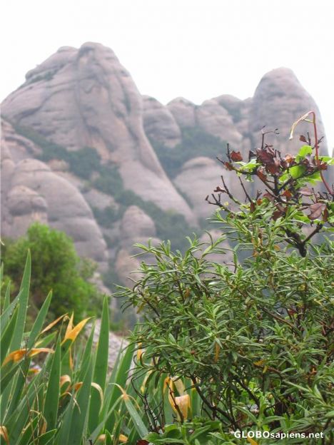 Postcard Montserrat Mountain