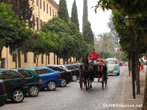Postcard Andalucia local carriages