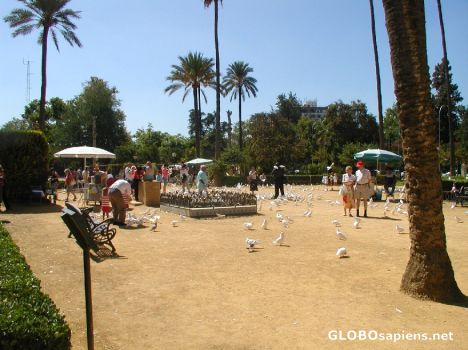 Postcard Plaza de America