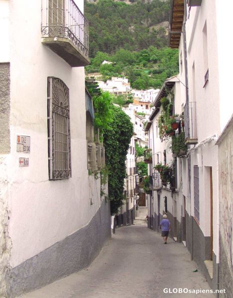 Postcard Typical Street