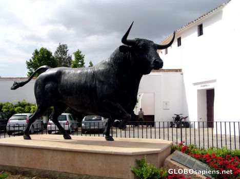 Postcard El Toro - outside the entrance to the Bullring