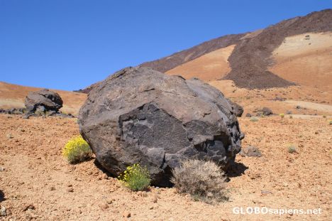 Postcard Huevos del Teide (Teide eggs)
