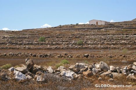 Postcard Mesas de Guaza