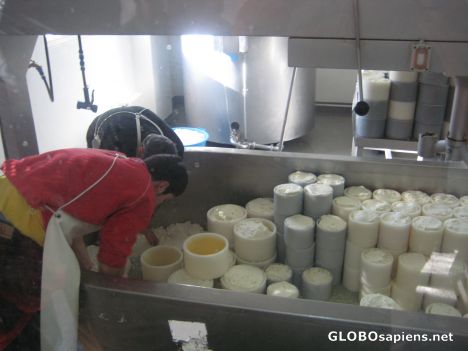 Postcard Farmer making cheese