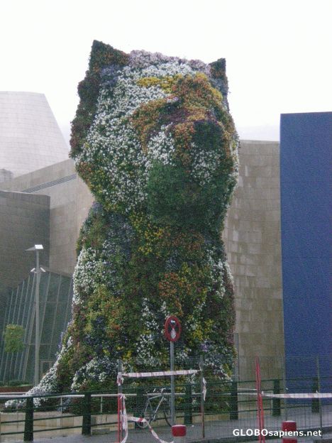 Postcard The dog in Guggenheim Museum