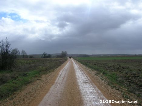 Postcard Reaching Riego del Camino