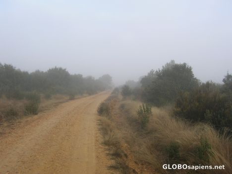 Postcard Mist before reaching Santa Marta de Tera