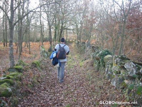 Postcard 0 - I am making the Camino de Santiago…