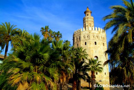 Postcard Sevilla, Andalusia - torre