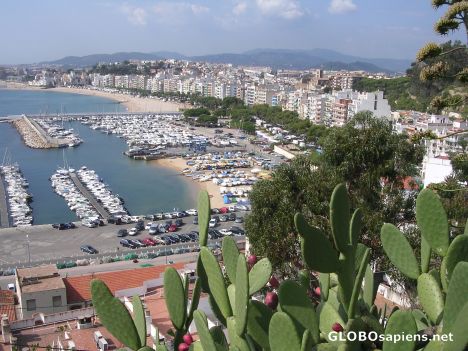 Postcard Panorama Blanes