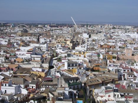 Postcard View fom the Giralda 3